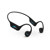 H2O Audio TRI 2 Waterproof Bone Conducti...: Picture 1 thumbnail