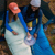 Kelty Cosmic 20 Deg 550 Down Sleeping Ba...: Picture 12 thumbnail