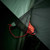 Kelty Wireless 6-Person Tent: Picture 2 thumbnail