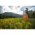 Nemo Heliopolis Privacy Shelter & Shower...: Picture 15 thumbnail