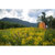 Nemo Heliopolis Privacy Shelter & Shower...: Picture 16 thumbnail