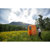 Nemo Heliopolis Privacy Shelter & Shower...: Picture 12 thumbnail