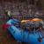 NRS Orion Packraft: Picture 6 thumbnail