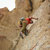 Outdoor Research Ferrosi Cargo Pants for...: Picture 5 thumbnail