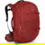 Osprey Farpoint 40 Travel Backpack: Picture 1 thumbnail