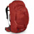Osprey Farpoint 55 Travel Backpack: Picture 1 thumbnail