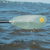 Perception Horizon 2 PC Paddle: Picture 4 thumbnail
