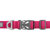 RuffWear Front Range Collar, 2020 Model: Picture 3 thumbnail