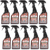 Scenturion 16oz Sports Odor Eliminator: Picture 1 thumbnail