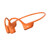 SHOKZ OpenRun Pro 2 Standard Wireless Sp...: Picture 1 thumbnail