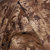 Slumberjack Nightfall 1 Person Tent: Picture 6 thumbnail