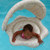 SunnyLife Baby Float: Picture 5 thumbnail
