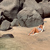 SUNNYLiFE Reclining Beach Chair: Picture 7 thumbnail