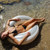 SunnyLife Tube Pool Ring: Picture 5 thumbnail