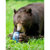 BearVault BV425 Sprint Bear Resistant Fo...: Picture 4 thumbnail