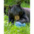 BearVault BV475 Trek Bear Resistant Food...: Picture 4 thumbnail