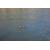 Swellpro Dronar Wireless Sonar Fish Find...: Picture 21 thumbnail