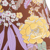 Speedo Printed Bandeau One Piece for Wom...: Picture 2 thumbnail