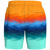 Speedo Print Redondo Edge Volley 17" Boa...: Picture 3 thumbnail