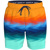 Speedo Print Redondo Edge Volley 17" Boa...: Picture 1 thumbnail