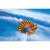 SportsStuff Gyro, 1 Rider Towable: Picture 4 thumbnail