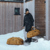Thule Chasm 70L Duffel Bag: Picture 6 thumbnail