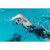 Zoggs Predator Adjustable Swim Goggles: Picture 3 thumbnail