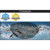 Zoggs Predator Flex Titanium Swim Goggle...: Picture 7 thumbnail