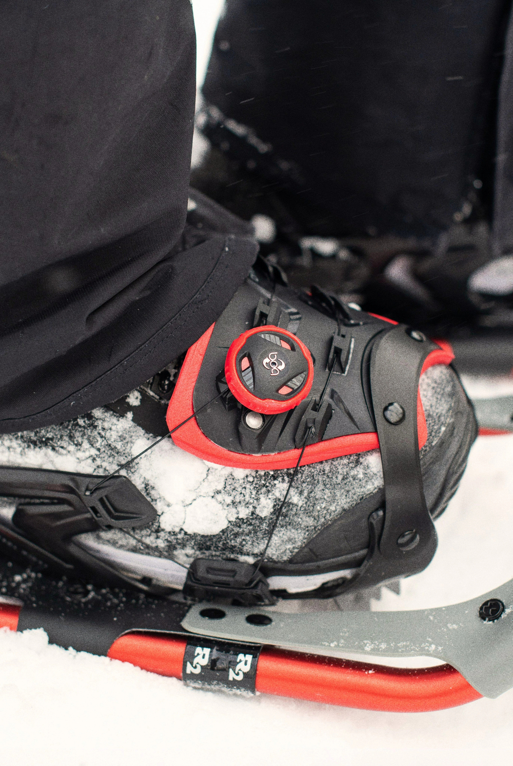 Tubbs Panoramic Snowshoes for Men