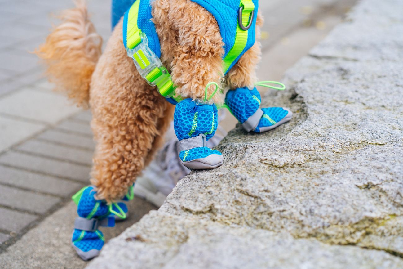 Ultra-wide opening & rubber grip on soles How to Put on: Insert paw, adjust toggle at top of boot, wrap strap around and use velcro to secure