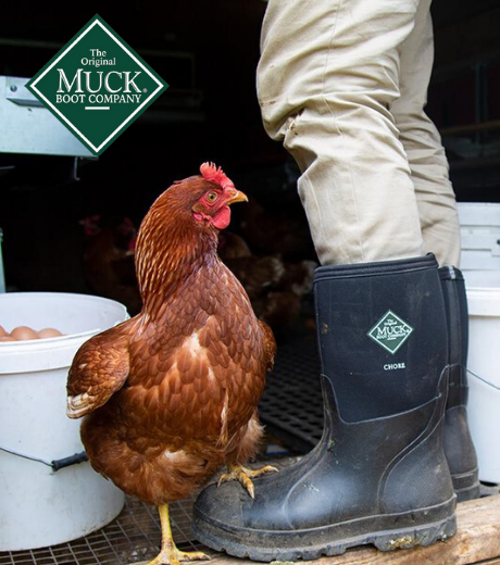 Muck Scrub Boot