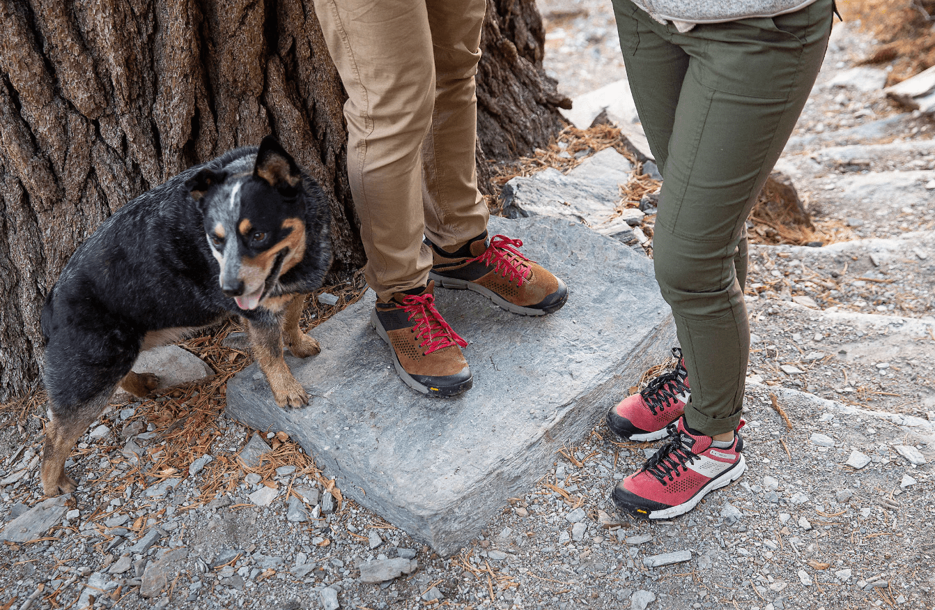Danner Trail 2650 Hiking Shoes