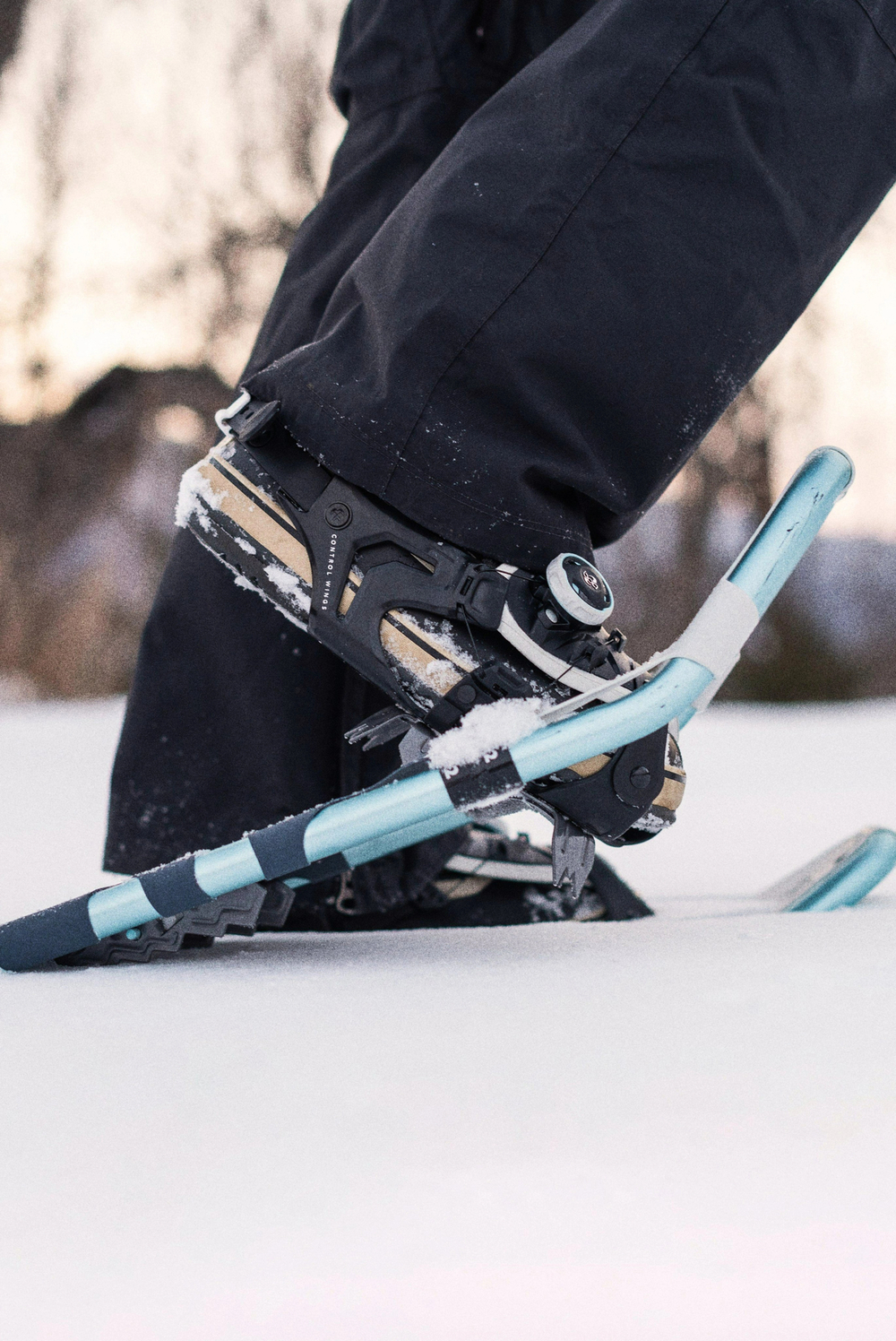 Tubbs Panoramic Snowshoes for Men