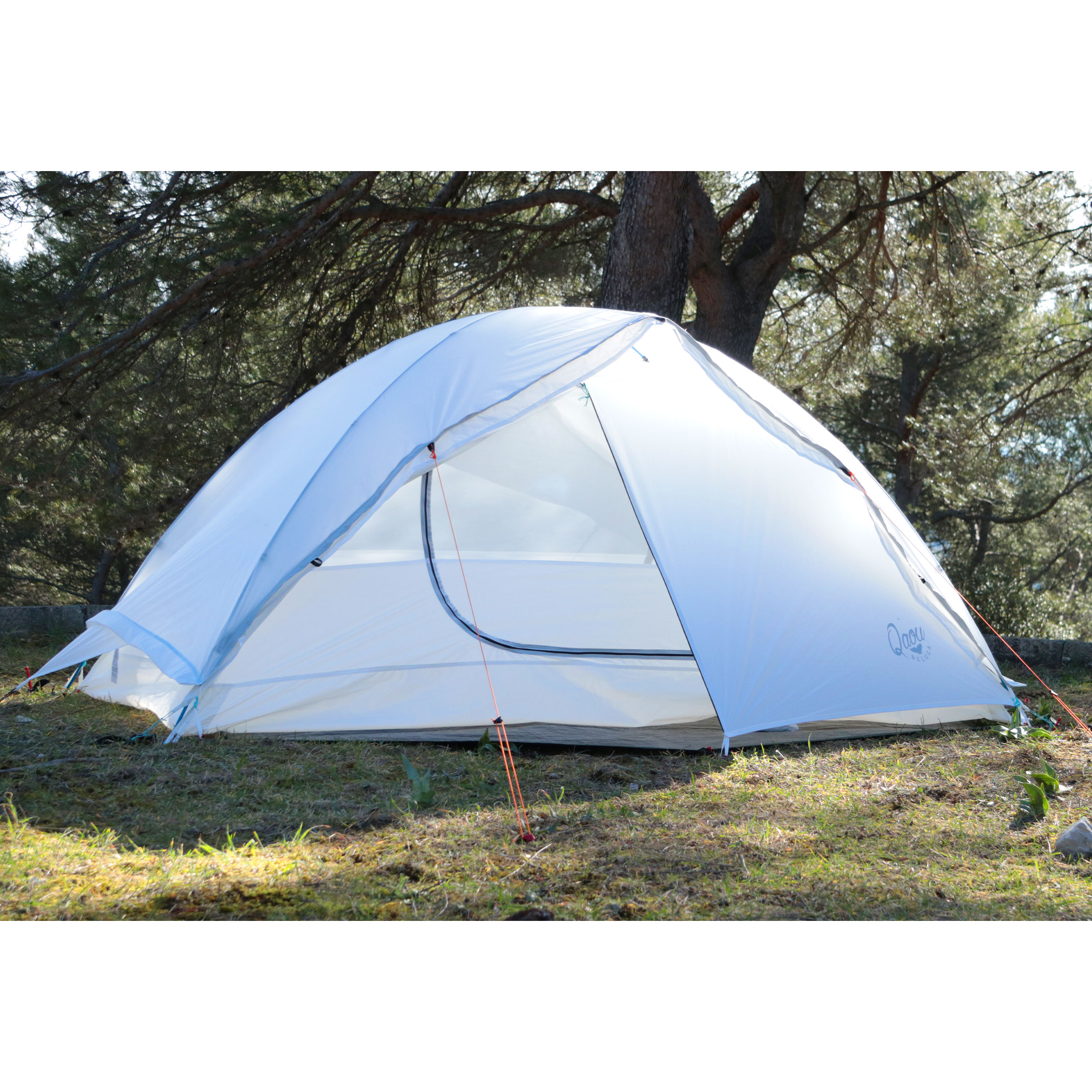 Qaou Beluga eco designed