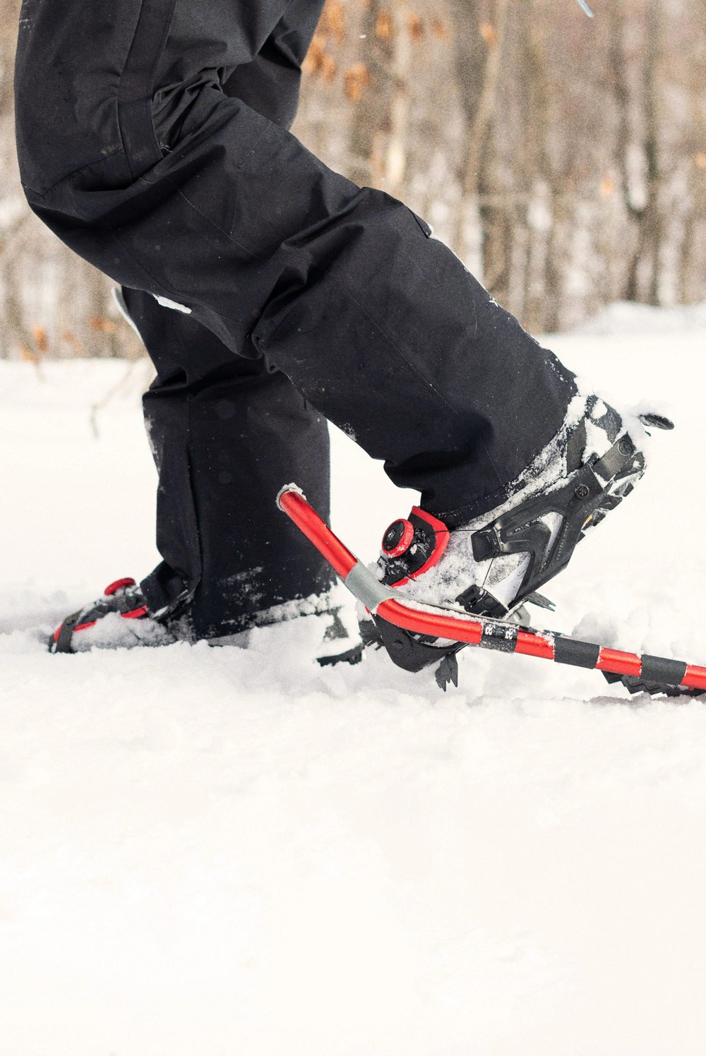 Tubbs Panoramic Snowshoes for Men