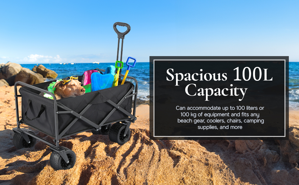 Blue Reef Heavy-Duty Folding Beach Cart (Black)