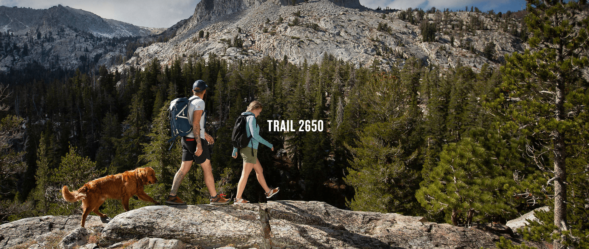 Danner Trail 2650 Hiking Shoes