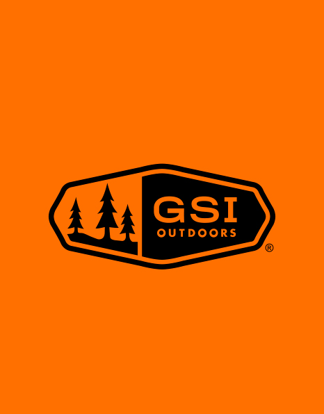 GSI