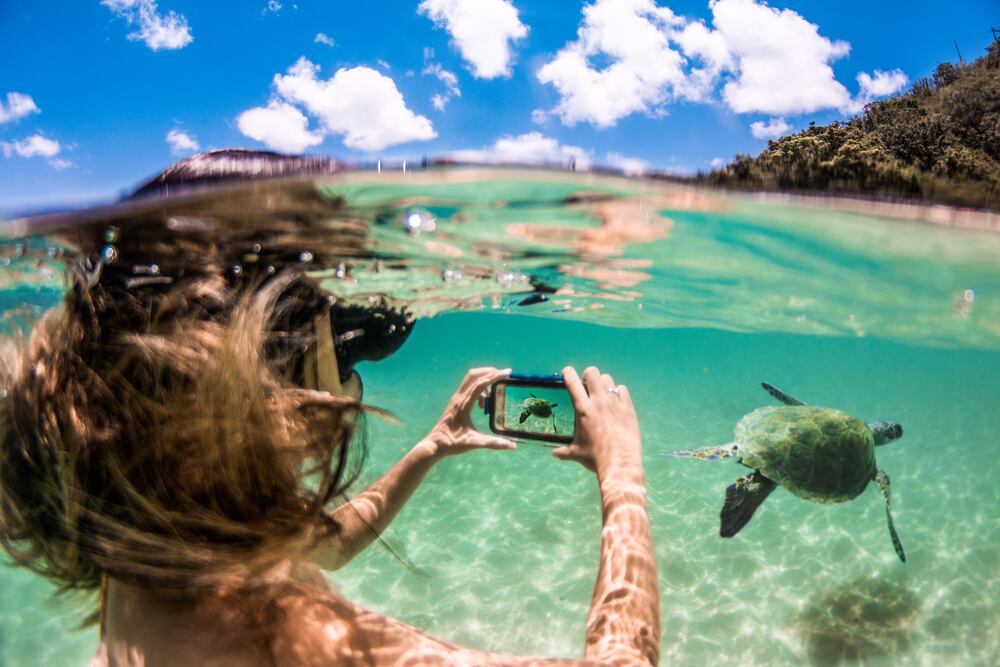 ProShot Dive - Universal Waterproof iPhone Case