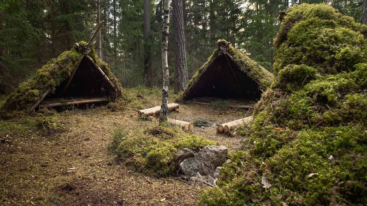 jungle survival shelter