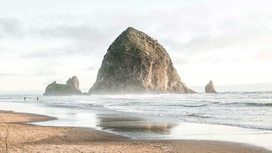 5 Best Places to Explore Tide Pools in the US