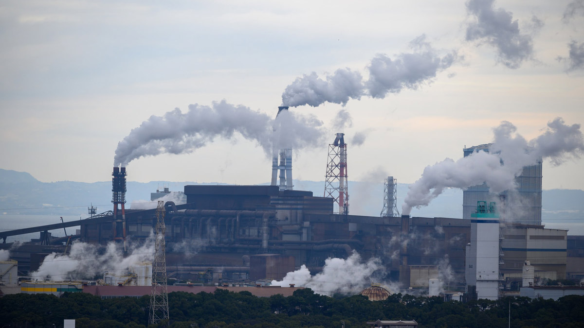 Common Causes for Destruction of Animal Habitats Common Causes for Destruction of Animal Habitats