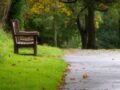Park bench feature
