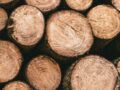 Log Feature