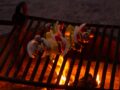 Savory campfire recipes feature
