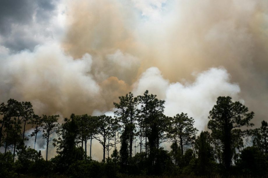 The Strange Phenomenon of Smoke Fog in Florida