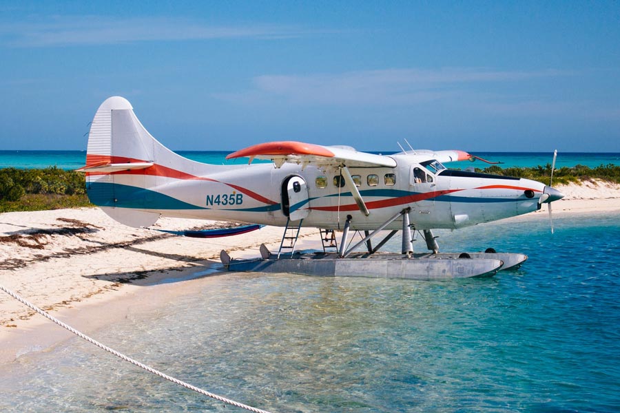 Dry tortugas feature