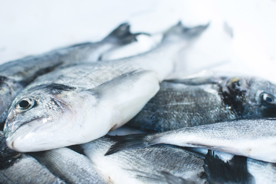 Dead Fish