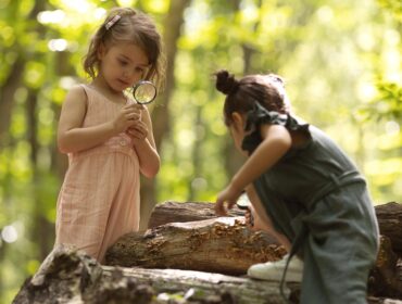 Nature Scavenger Hunt