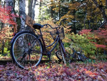 Cycling Routes
